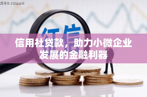 徐汇信用社贷款，助力小微企业发展的金融利器