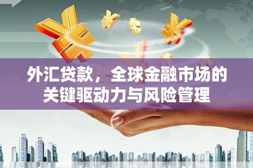徐汇外汇贷款，全球金融市场的关键驱动力与风险管理