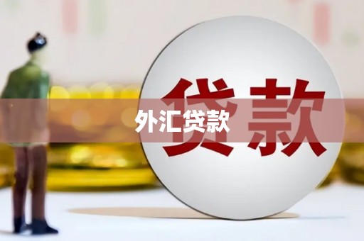 徐汇外汇贷款