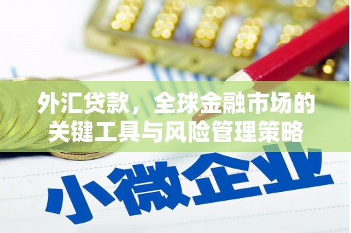 徐汇外汇贷款，全球金融市场的关键工具与风险管理策略