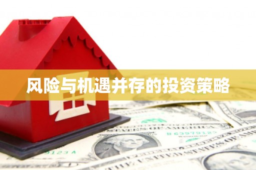 徐汇风险与机遇并存的投资策略