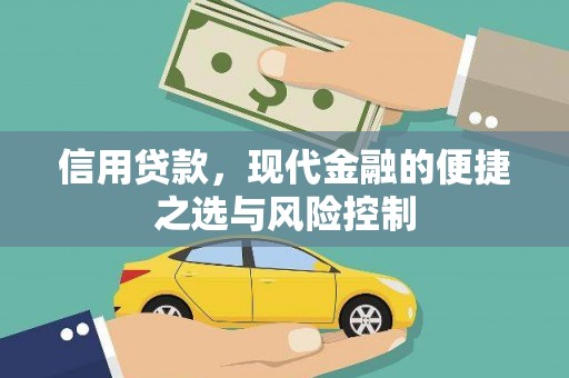 徐汇信用贷款，现代金融的便捷之选与风险控制