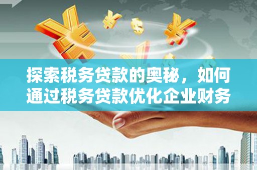 徐汇探索税务贷款的奥秘，如何通过税务贷款优化企业财务