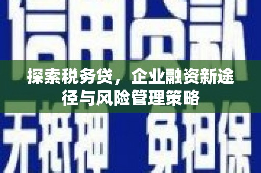 徐汇探索税务贷，企业融资新途径与风险管理策略