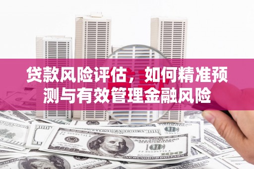 徐汇贷款风险评估，如何精准预测与有效管理金融风险