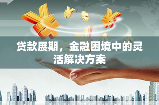 徐汇贷款展期，金融困境中的灵活解决方案