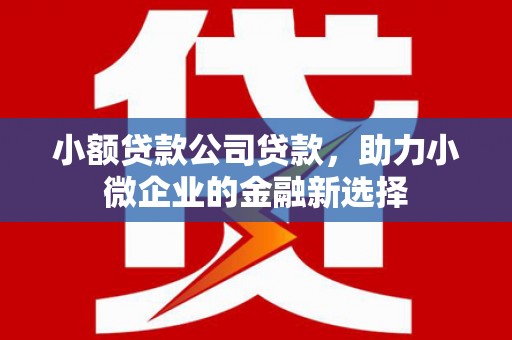 徐汇小额贷款公司贷款，助力小微企业的金融新选择