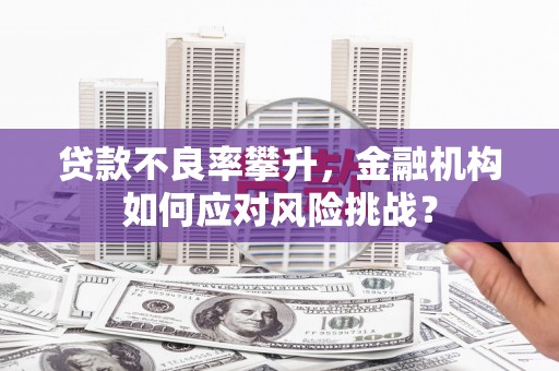 徐汇贷款不良率攀升，金融机构如何应对风险挑战？