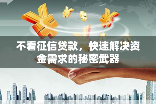 徐汇不看征信贷款，快速解决资金需求的秘密武器