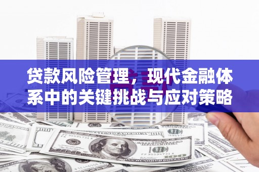徐汇贷款风险管理，现代金融体系中的关键挑战与应对策略