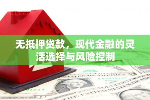 徐汇无抵押贷款，现代金融的灵活选择与风险控制