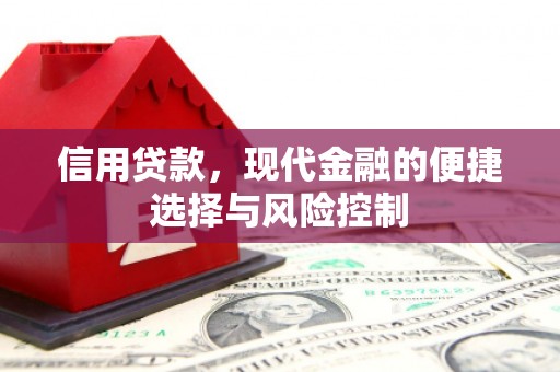 徐汇信用贷款，现代金融的便捷选择与风险控制