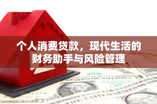 徐汇个人消费贷款，现代生活的财务助手与风险管理