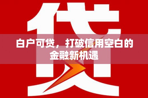 徐汇白户可贷，打破信用空白的金融新机遇