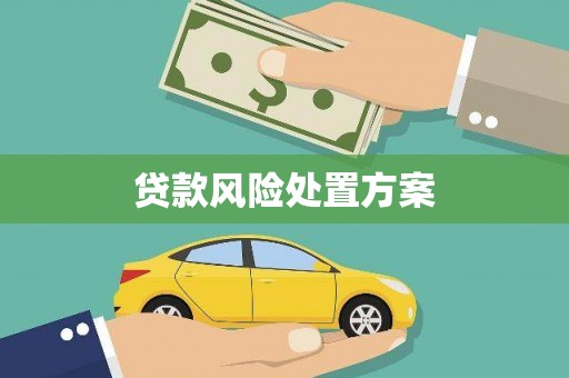 徐汇贷款风险处置方案