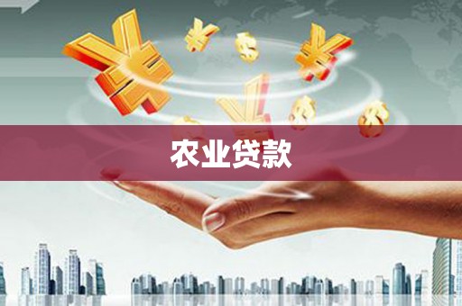 徐汇农业贷款