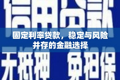 徐汇固定利率贷款，稳定与风险并存的金融选择