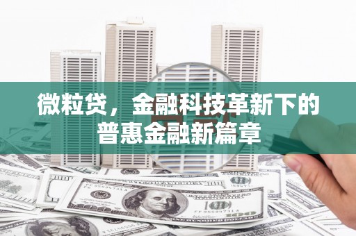 徐汇微粒贷，金融科技革新下的普惠金融新篇章