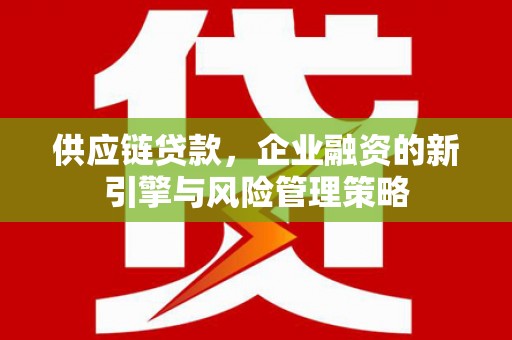 徐汇供应链贷款，企业融资的新引擎与风险管理策略