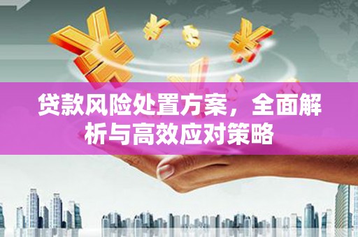 徐汇贷款风险处置方案，全面解析与高效应对策略