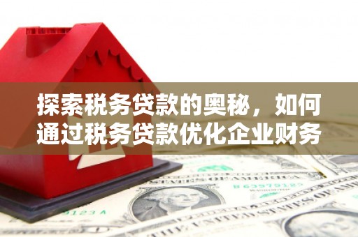 徐汇探索税务贷款的奥秘，如何通过税务贷款优化企业财务