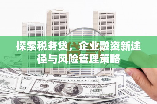 徐汇探索税务贷，企业融资新途径与风险管理策略