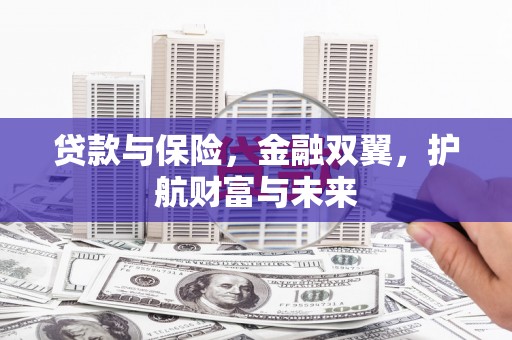 徐汇贷款与保险，金融双翼，护航财富与未来