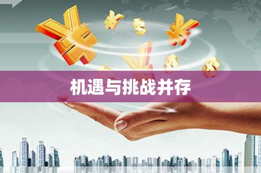 徐汇机遇与挑战并存