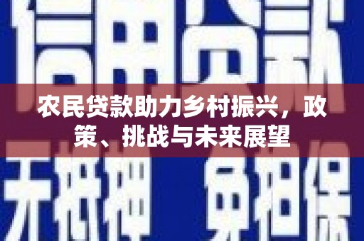 徐汇农民贷款助力乡村振兴，政策、挑战与未来展望