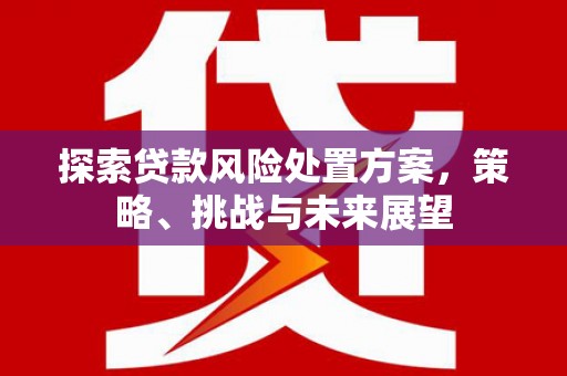 徐汇探索贷款风险处置方案，策略、挑战与未来展望
