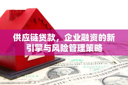 徐汇供应链贷款，企业融资的新引擎与风险管理策略