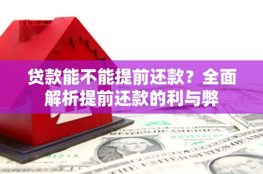 徐汇贷款能不能提前还款？全面解析提前还款的利与弊