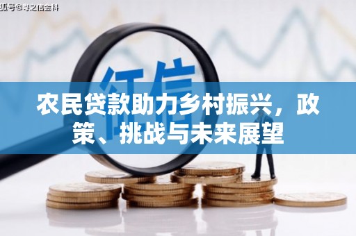 徐汇农民贷款助力乡村振兴，政策、挑战与未来展望