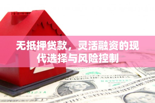 徐汇无抵押贷款，灵活融资的现代选择与风险控制