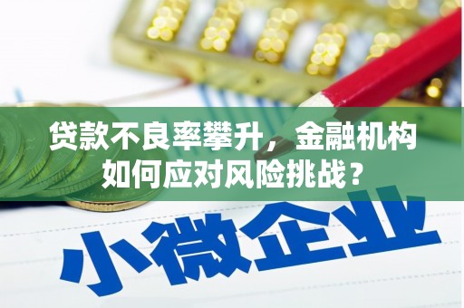 徐汇贷款不良率攀升，金融机构如何应对风险挑战？