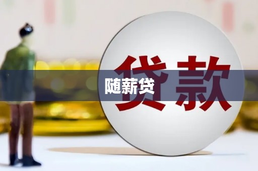 徐汇随薪贷