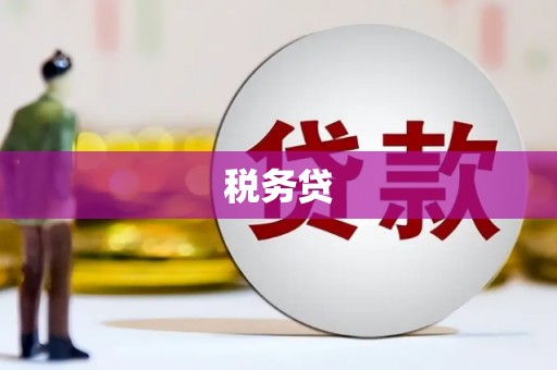 徐汇税务贷