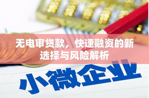 徐汇无电审贷款，快速融资的新选择与风险解析