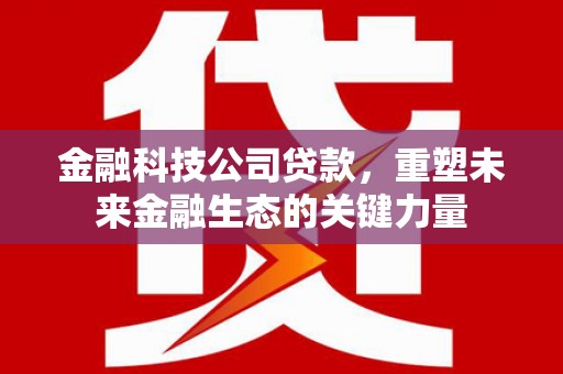徐汇金融科技公司贷款，重塑未来金融生态的关键力量