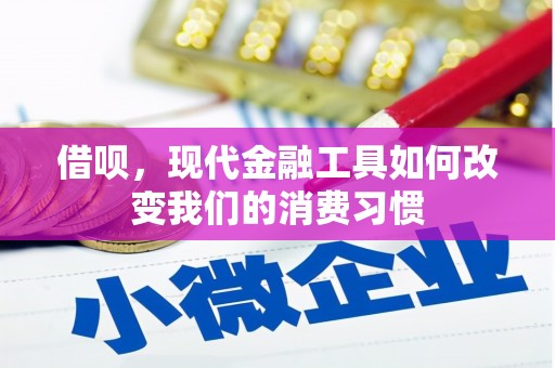 徐汇借呗，现代金融工具如何改变我们的消费习惯