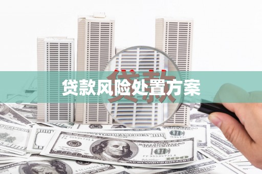 徐汇贷款风险处置方案