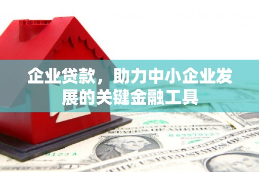 徐汇企业贷款，助力中小企业发展的关键金融工具
