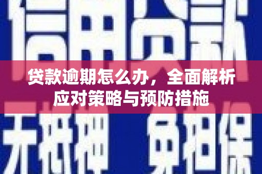 徐汇贷款逾期怎么办，全面解析应对策略与预防措施