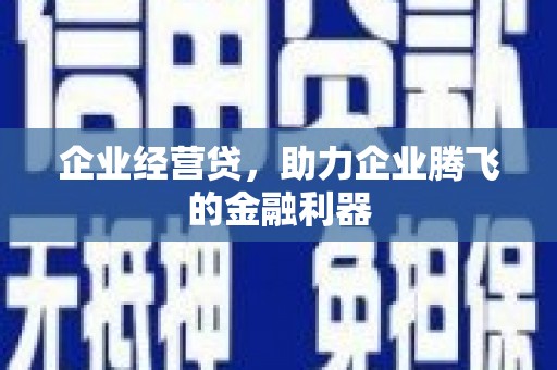 徐汇企业经营贷，助力企业腾飞的金融利器