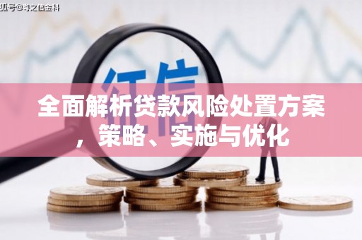 徐汇全面解析贷款风险处置方案，策略、实施与优化