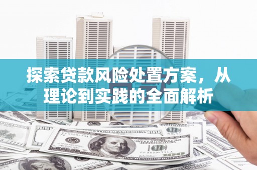 徐汇探索贷款风险处置方案，从理论到实践的全面解析