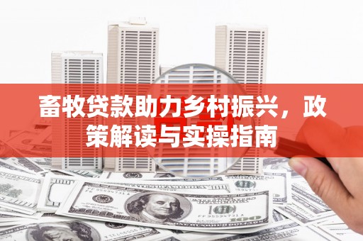 徐汇畜牧贷款助力乡村振兴，政策解读与实操指南