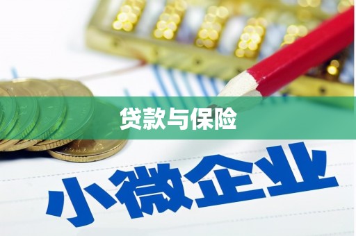 徐汇贷款与保险