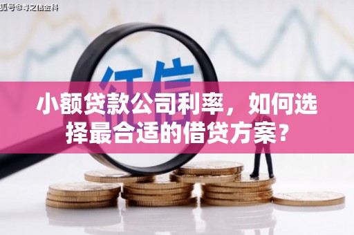 徐汇小额贷款公司利率，如何选择最合适的借贷方案？