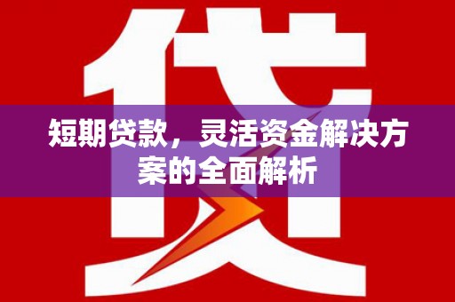 徐汇短期贷款，灵活资金解决方案的全面解析